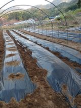 문명훈님의 작성글 사진