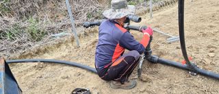 김명숙님의 기타작물 · 영농일지 작성글 사진