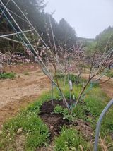 박기택님의 작성글 사진