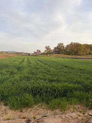 허주회님의 기타작물 · 영농일지 작성글 사진