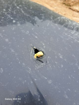 조연만님의 작성글 사진