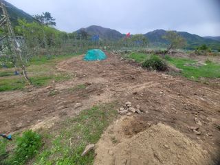 날씨가 흐려 방제가님의 기타작물 · 영농일지 작성글 사진