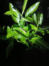 라이온3241님의 작성글 사진