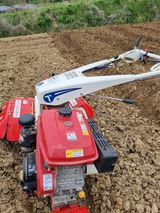 논산푸른팜님의 작성글 사진