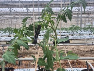 늘햇살팜 님의 기타작물 · 영농일지 작성글 사진