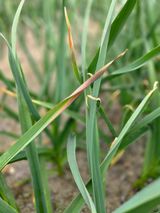 윤장원님의 작성글 사진