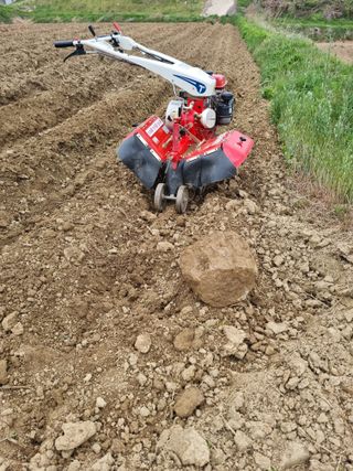 논산푸른팜님의 고추 · 영농일지 작성글 사진