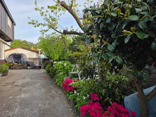 정정치님의 기타작물 · 영농일지 작성글 사진