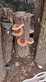 김동명님의 작성글 사진