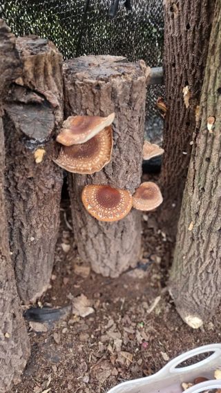 김동명님의 기타작물 · 영농일지 작성글 사진