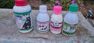 골드래곤님의 마늘 · 영농일지 작성글 사진