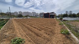 신안광열님의 기타작물 · 영농일지 작성글 사진