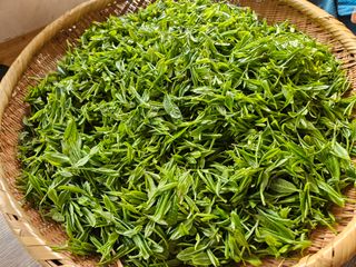 대봉매실 인생이막님의 기타작물 · 영농일지 작성글 사진