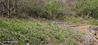 장용선 사진작가농부님의 기타작물 · 영농일지 작성글 사진