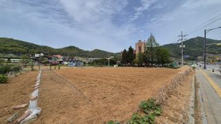 신안광열님의 기타작물 · 영농일지 작성글 사진