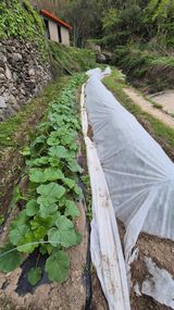 촌사리(김정대)님의 작성글 사진