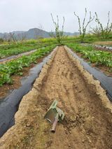 심상훈님의 작성글 사진