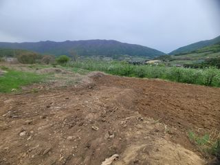 날씨가 흐려 방제가님의 기타작물 · 영농일지 작성글 사진