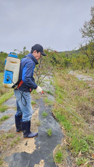 정규환님의 기타작물 · 영농일지 작성글 사진