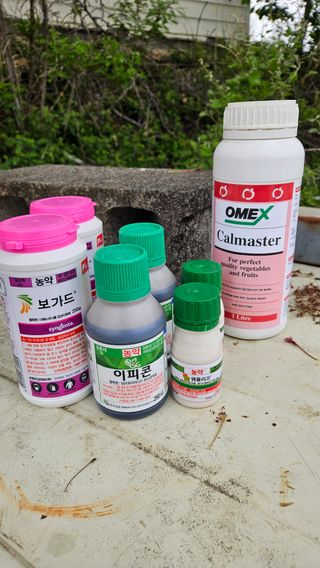 장양농원6606님의 배 · 영농일지 작성글 사진