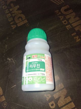 서태수님의 포도 · 영농일지 작성글 사진