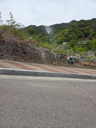 김용대님의 옥수수 · 영농일지 작성글 사진