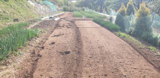 정천복님의 기타작물 · 영농일지 작성글 사진