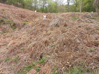 전원수님의 기타작물 · 영농일지 작성글 사진