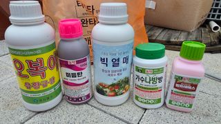 윤광원 님의 복숭아 · 영농일지 작성글 사진