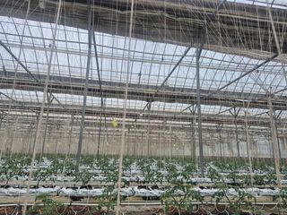 늘햇살팜 님의 기타작물 · 영농일지 작성글 사진