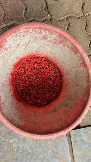 신안광열님의 기타작물 · 영농일지 작성글 사진