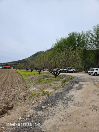 김병효님의 기타작물 · 영농일지 작성글 사진