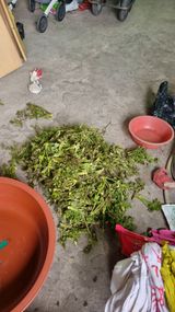 김동명님의 작성글 사진