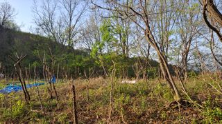 수기님의 기타작물 · 영농일지 작성글 사진