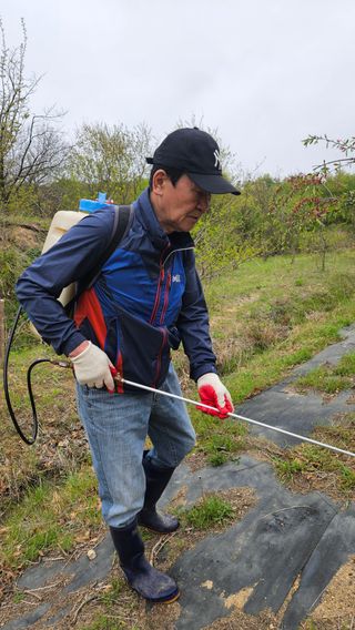 정규환님의 기타작물 · 영농일지 작성글 사진