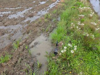 정정치님의 기타작물 · 영농일지 작성글 사진