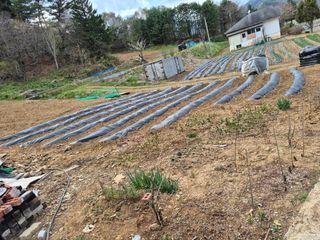 강윤석님의 기타작물 · 영농일지 작성글 사진