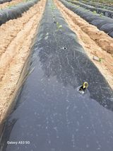 조연만님의 작성글 사진