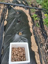 땅콩맘님의 작성글 사진