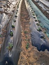 구강회님의 작성글 사진