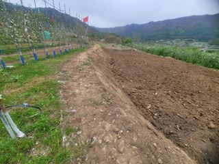 날씨가 흐려 방제가님의 기타작물 · 영농일지 작성글 사진