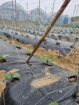 노천호 님의 작성글 사진