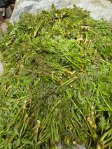 최은호님의 작성글 사진