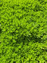 농민님의 작성글 사진