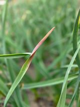 윤장원님의 작성글 사진