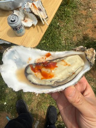 김성필님의 기타작물 · 영농일지 작성글 사진