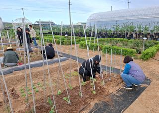 철남 김희곤님의 복숭아 · 영농일지 작성글 사진
