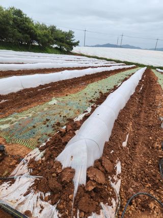 김저팔계님의 기타작물 · 영농일지 작성글 사진