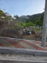 팜모닝 옥수수·영농일지 게시글 이미지