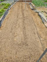 이명희님의 작성글 사진